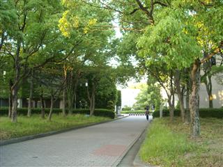 九州大学1_3.jpg